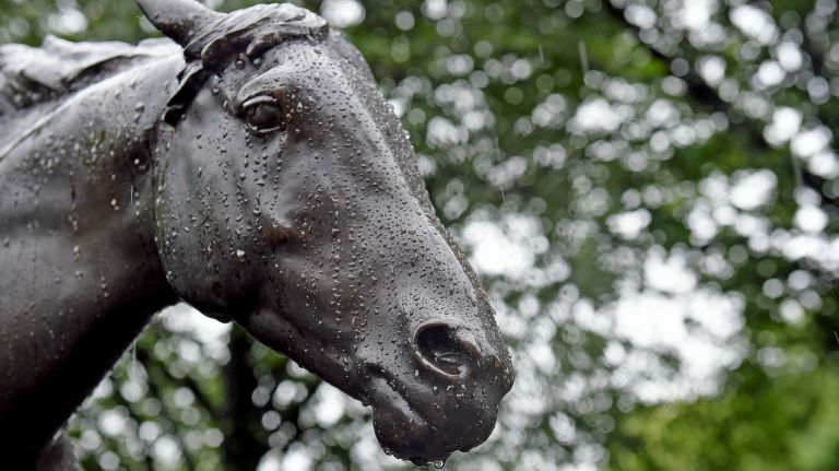 Raindrops cover the statue of Secretariat in the paddock at Belmont Park in Elmont on June 1, 2015.