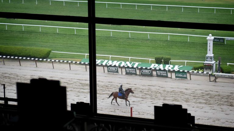 A lone horse runs on the track at Belmont Park in Elmont on June 1, 2015.