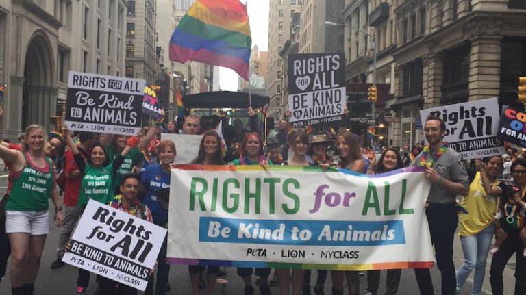 Animal rights activists from PETA, LION and NYCLASS join the 2015 New York City Pride parade on June 28, 2015. 
