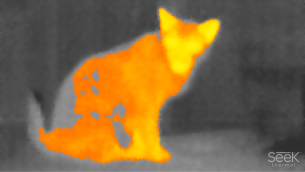 Cutting-Edge Gizmos, Taken For a Test Run 6 Attach a Seek Thermal Camera to your smartphone and locate electronic hot spots or take still pictures and video in the infrared spectrum.