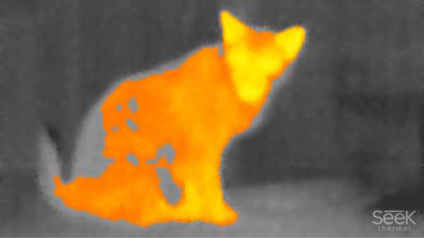 Cutting-Edge Gizmos, Taken For a Test Run 5 Aug6_Tech_Cat