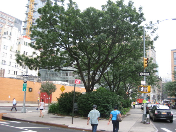 Downtown Express photo by Dusica Sue Malesevic Finn Square at Franklin St. and W. Broadway could be expanded, but some neighbors are concerned about the effect to traffic.