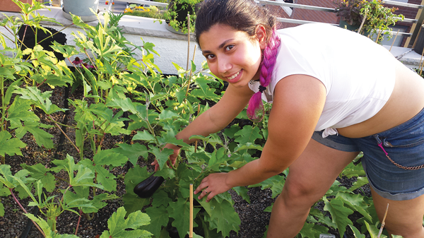 Paula Merchan showing off a tasty-looking eggplant still on the vine.   Photo by Lincoln Anderson