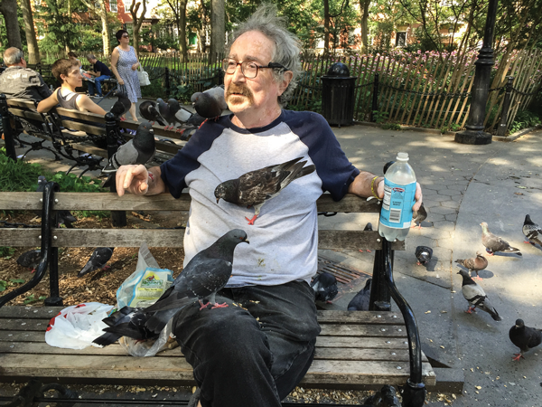 Paul the Pigeon Man feeding birdseed to some of his friends fortunate to have evaded the birdnappers’ net. Normally, he would be covered with many more pigeons.    Photo by Tequila Minsky