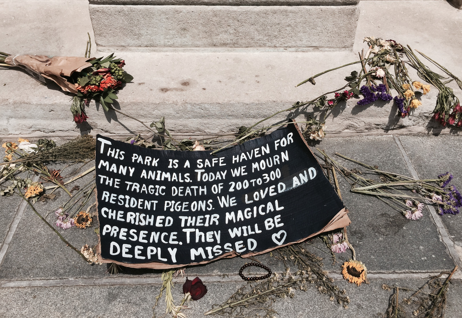 A faded memorial left to the lost pigeons in Washington Square Park.