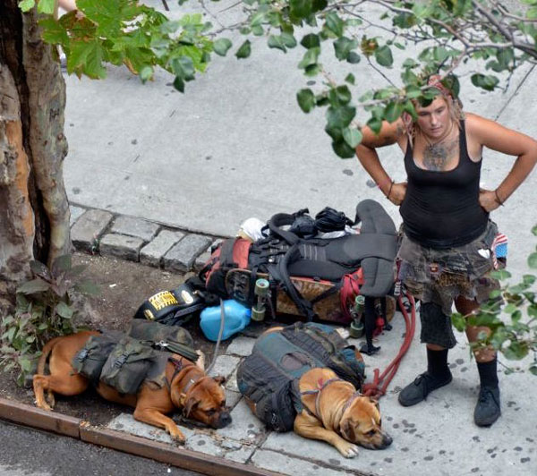 After Jax, a pit bull, viciously attacked Roberta Bayley’s pug Sidney next to the 2 Bros. $1 pizza place on St. Mark’s on Aug. 1, crusty travelers stayed away from the spot awhile. But they were back last Thursday, when this photo was taken, as a neighbor in Bayley’s building was having a shouting match from across the street with this woman and a male companion. Their dogs, wearing packs and clearly leashed, appeared to be mixed breeds. Photo by Godlis