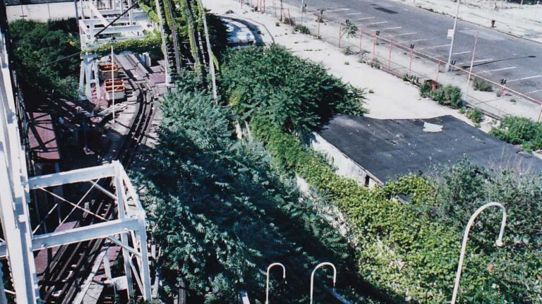 View from high up on the tracks of the Thunderbolt roller coaster, once a major Coney Island attraction, here it's been taken over by trees and weeds. (June 10, 1987)