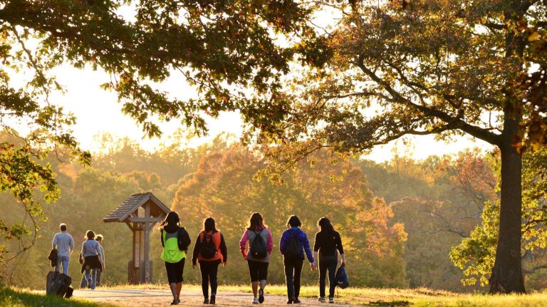 With 1,600 acres of woods, meadows and freshwater areas, Caumsett State Historic Park Preserve is lush and varied. Maples, tulips, hickorys, sassafras and dogwoods are among the trees along the park's 27 miles of trails. Stroll along paved walkways and wide dirt paths through the woods. And, the views are spectacular, even though the trees have only a touch of color. Fall colors peak late October into early November.