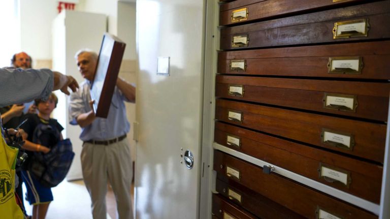 David Grimaldi, center left, curator of The Butterfly Conservatory and with the Division of Invertebrate Zoology, holds a species collection Tuesday, Sept. 1, 2015, on a floor of the American Museum of Natural History that houses a collection of thousands preserved like these that the public rarely sees. 