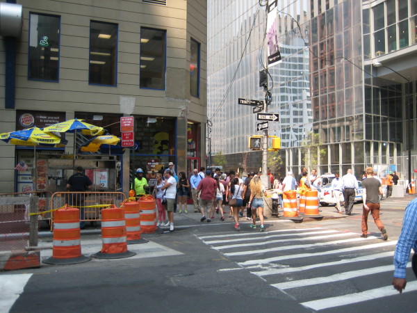 The N.Y.P.D. is proposing the expansion of a no vending zone for security reasons. A vendor like this one, above, would not be allowed there if the zone is expanded. Downtown Express photo by Dusica Sue Malesevic.