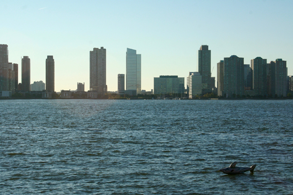 Ahoy, dolphin? 1 Downtown Express photo by Yannic Rack
