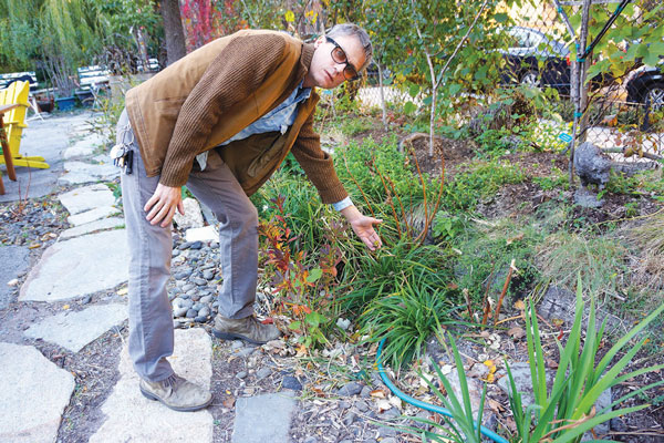 Gardens now seen as key part of future storm-defense plan 2 Ross Martin with a bioswale that is already installed at La Plaza Cultural.
