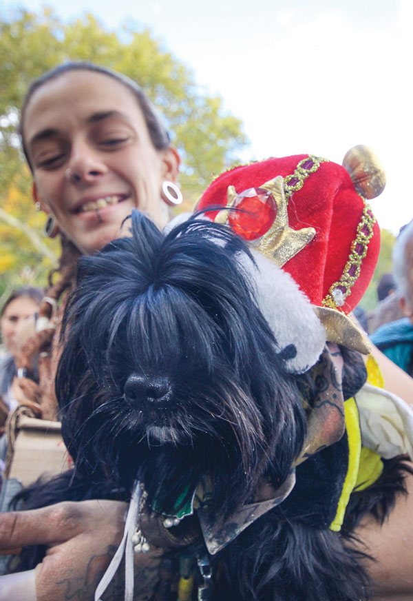 Some doggone fun! 2 Photos by Tequila Minsky