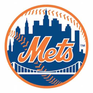 METS-IS