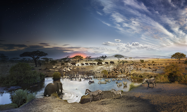 When day and night move as one 3 “Serengeti National Park, Tanzania, 2015” is the result of 26 hours spent on an 18-foot high platform (minus two hour for lunch). Photo by Stephen Wilkes, courtesy the artist and Bryce Wolkowitz Gallery.