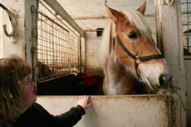 RACK-stables-Anita-Gerami-IS