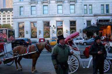 RACK-stables-mchugh-Central-Park-IS