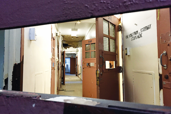 Dec31_Bayview_cells