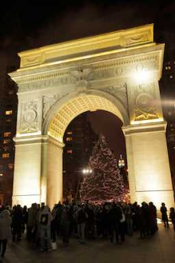 Dec3_Activ_Tree