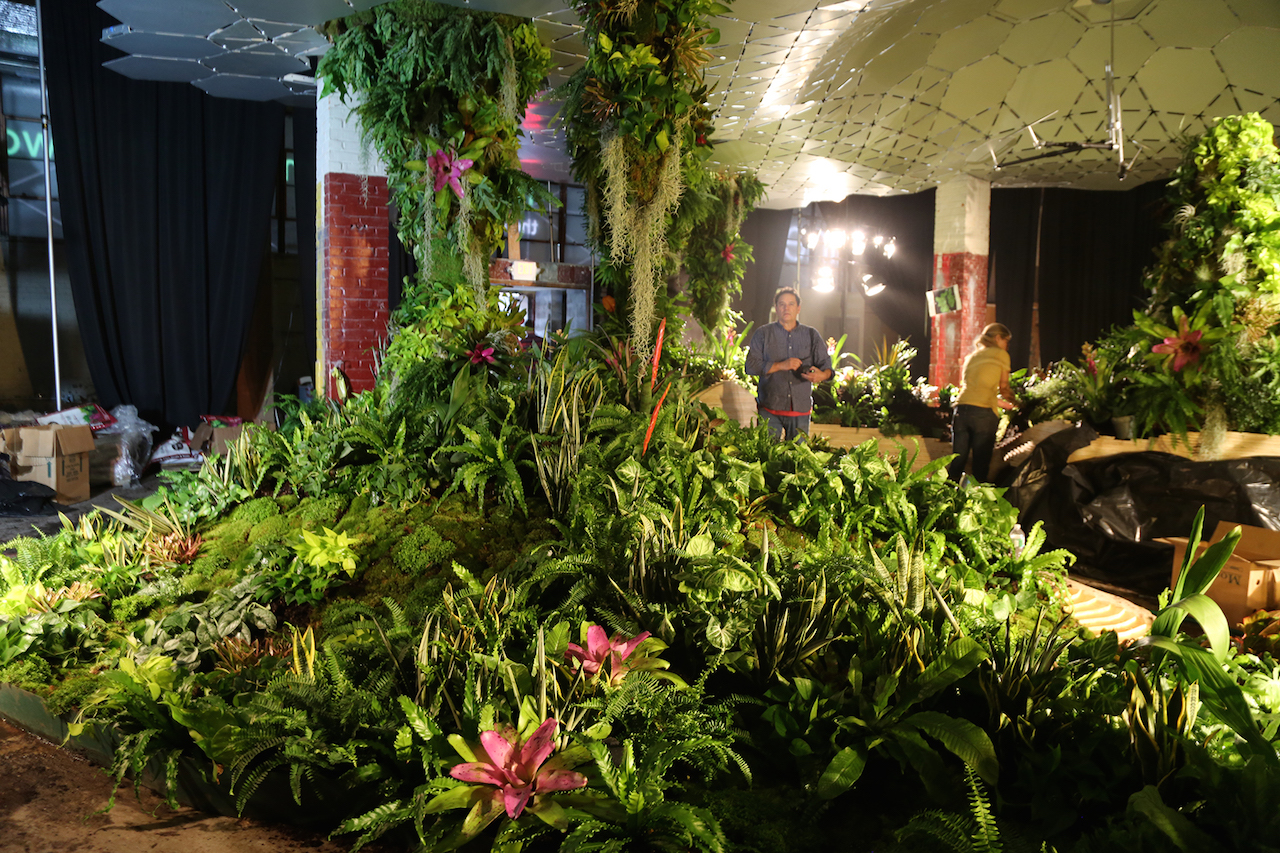 The Lowline Lab, which opened in October in an old Essex Market building at 140 Essex St., is a free laboratory and technical exhibit designed to test and showcase how the Lowline would grow and sustain plants underground. It's open Saturdays and Sundays, 11 a.m. to 5 p.m., through March 2016.  Photo by Clayton Patterson