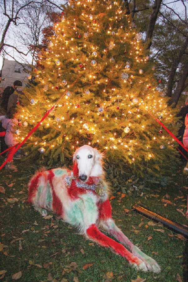 Colored by holiday spirit 2 Photos by Tequila Minsky