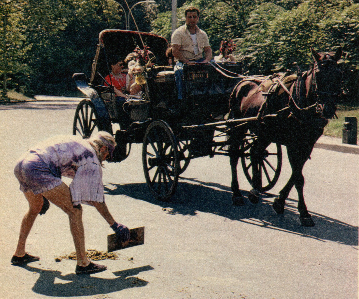 A photograph of Purple in a magazine profile, showing him scooping up horse manure in Central Park to fertilize the soil in his Garden of Eden.