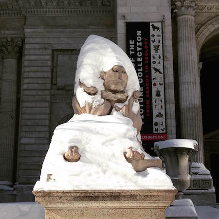 A Republican Approach to Shoveling Snow? Really? 1 The Lion Slept Last Night: The New York Public Library, Fifth Avenue at 42nd Street, January 24, 2016. | ADAM POSNER