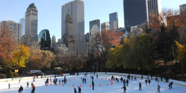 JAN.16-wollman-rink-centralparknyc.org-IS