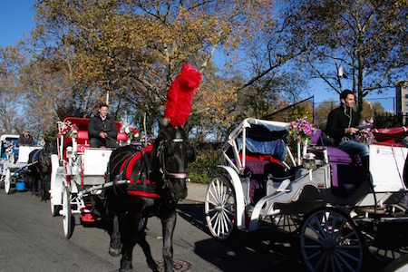 De Blasio Not Yet in the Saddle on Horse Carriages 5 As the City Council responded with exasperation to the de Blasio administration’s proposal on curbing the horse carriage industry, drivers continue to operate on Midtown streets. | YANNICK RACK