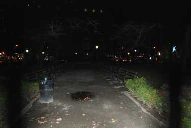 bowling-green-in-the-dark-pic1