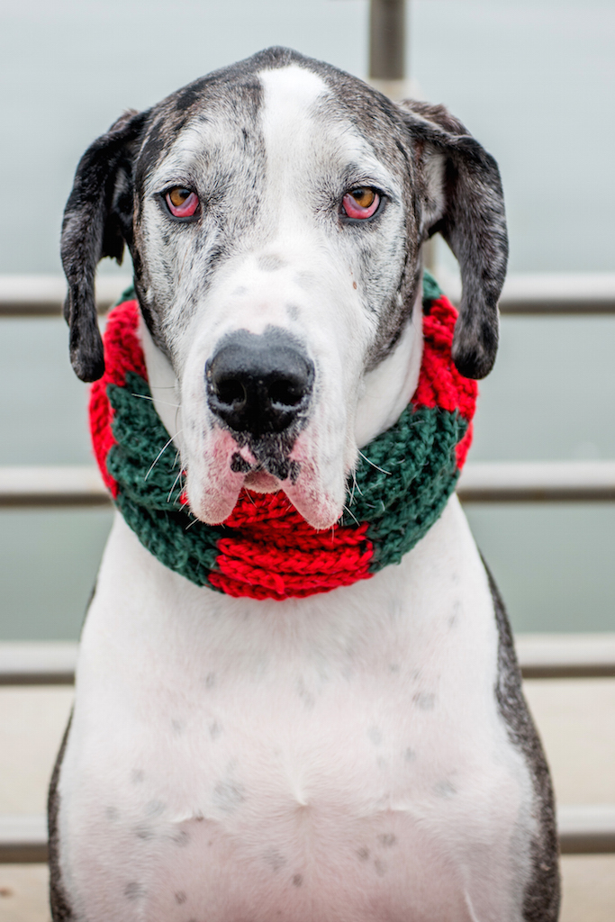 A very warm Christmas Day in Hudson River Park 3 Photos by Milo Hess