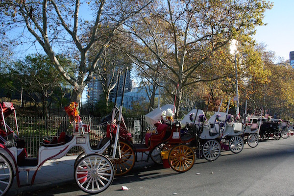 City Council Calls Off Carriage Vote 1 Carriages lined up in front of W. 52nd St.’s Clinton Park Stables, one of several Hell’s Kitchen businesses targeted for closure as part of the mayor’s stalled plan. Photo by Yannic Rack.