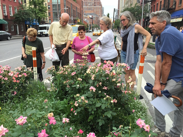 Garden Club Plants Idea to Use Their Tree Pit Expertise 1 During a July 2015 tour, Missy Adams points out the flowers at her tree pit on W. 19th St. & Ninth Ave. Chelsea Garden Club members hope their expertise will be welcomed, when a new bike lane comes to Sixth Ave. Chelsea Now file photo by Alicia Green.
