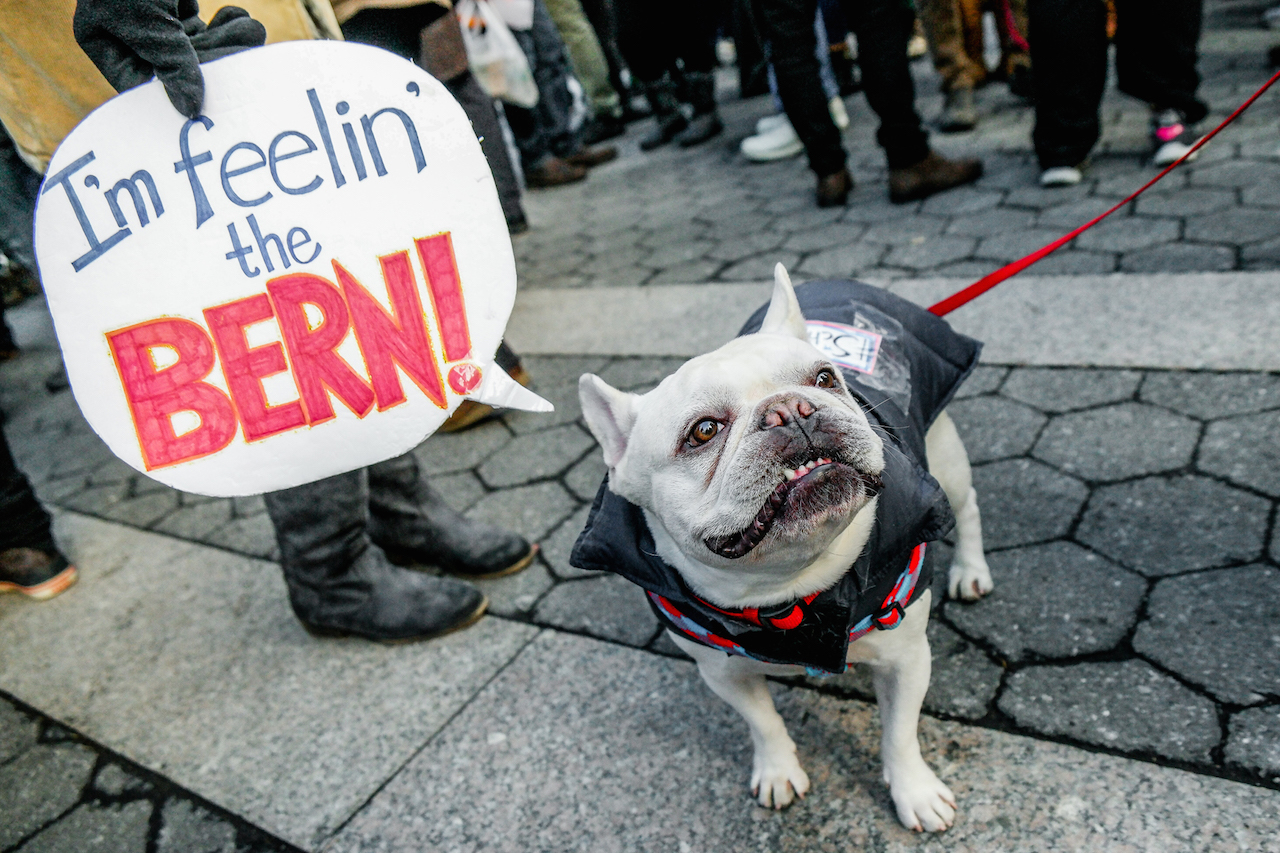 Berning for Sanders, supporters hit the streets 5 SAMSUNG CSC