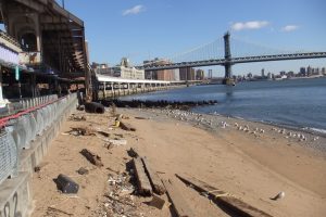Photo by Graeme Birchall Critics say that a feasibility study conducted by the city’s Economic Development Corporation on turning Brooklyn Bridge Beach into a public park was focused on finding reasons not to open the debris-strewn stretch of Lower Manhattan shoreline. 