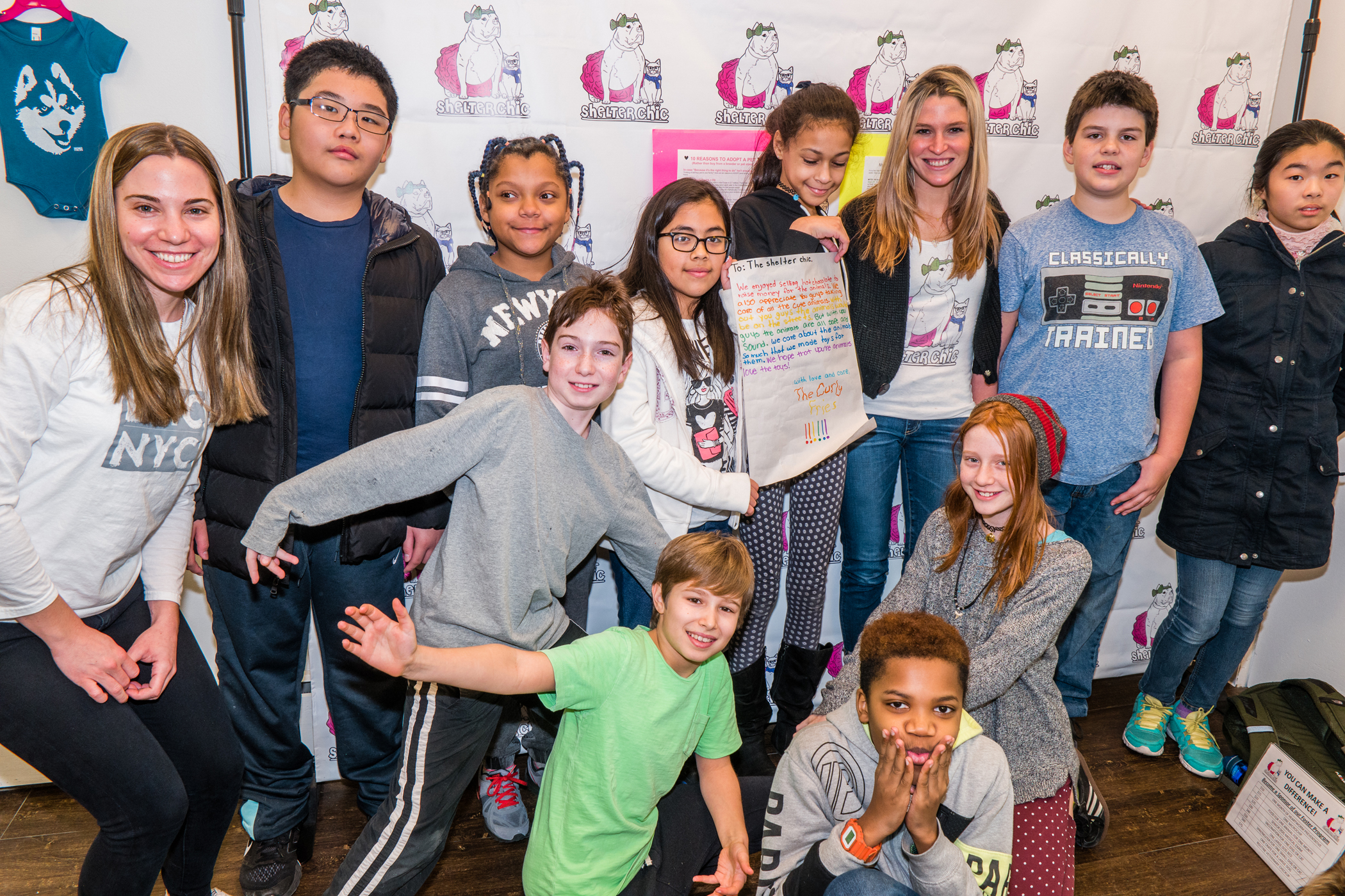 School Kids Team Up To Help Shelter Cats Amnewyork School Kids Team Up To Help Shelter Cats Amnewyork