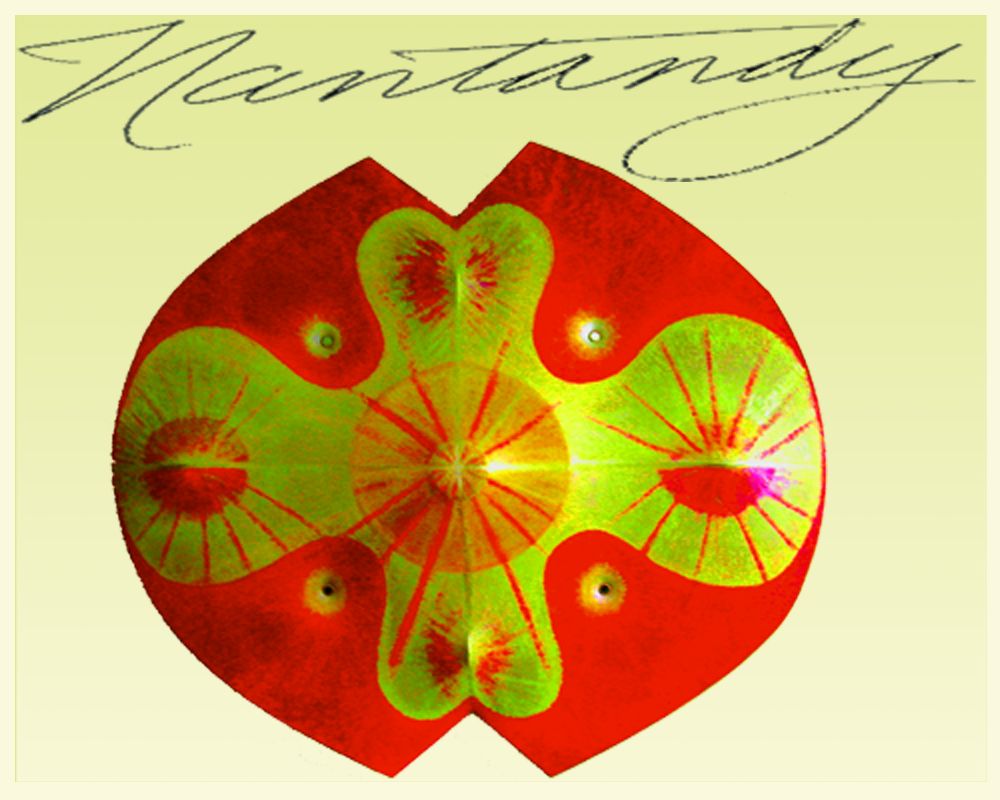Nantandy, 88, Westbeth artist, 3-D canvas pioneer 3 nan, artwork