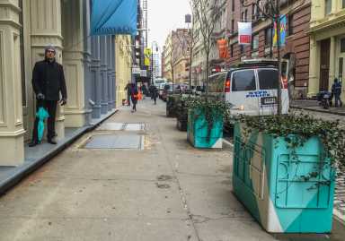 planters, pic