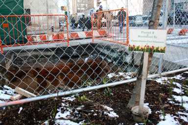 Mar10_Pit_Crater