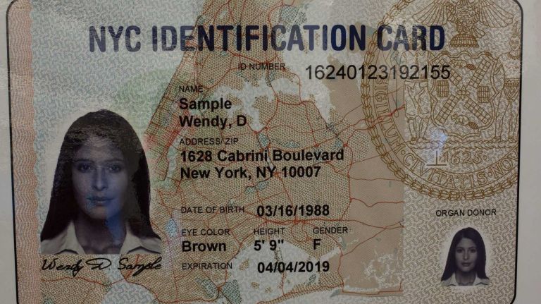 New York State New Id Card