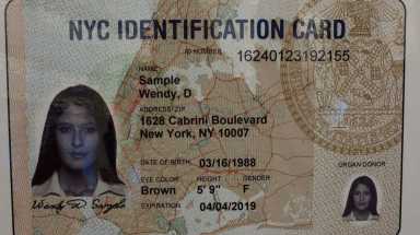 IDNYC / mg