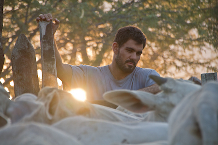 Ridden Hard 1 Juliano Cazarré as Iremar, at work with the bulls. | KINO LORBER