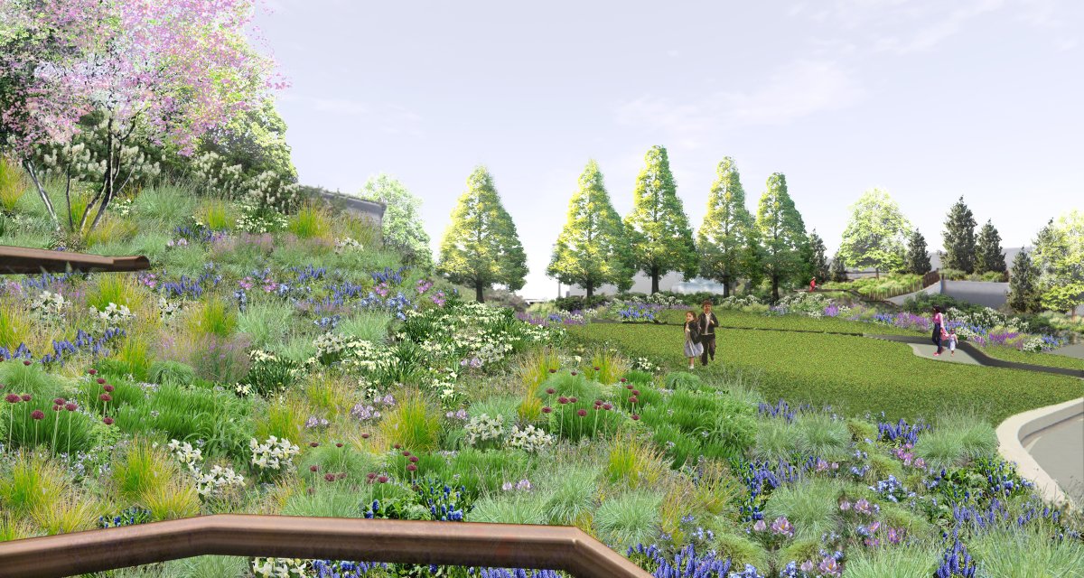 Under its landscaping plans, Pier55 will be festooned with plants that are prolific pollinators, which will be a magnet for insects with shrinking populations, like bees.
