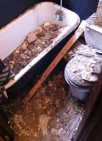 West Side Tenants Battle “Harassment By Construction” 3 The bathroom of a resident enduring construction in their building. | COOPER SQUARE COMMITTEE