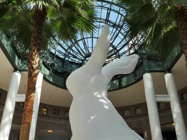 bunnies-at-brookfield-2016-04-21-pic7DEPRINT_WEBWEB