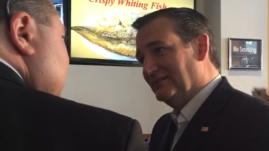 cruz in the bronx2