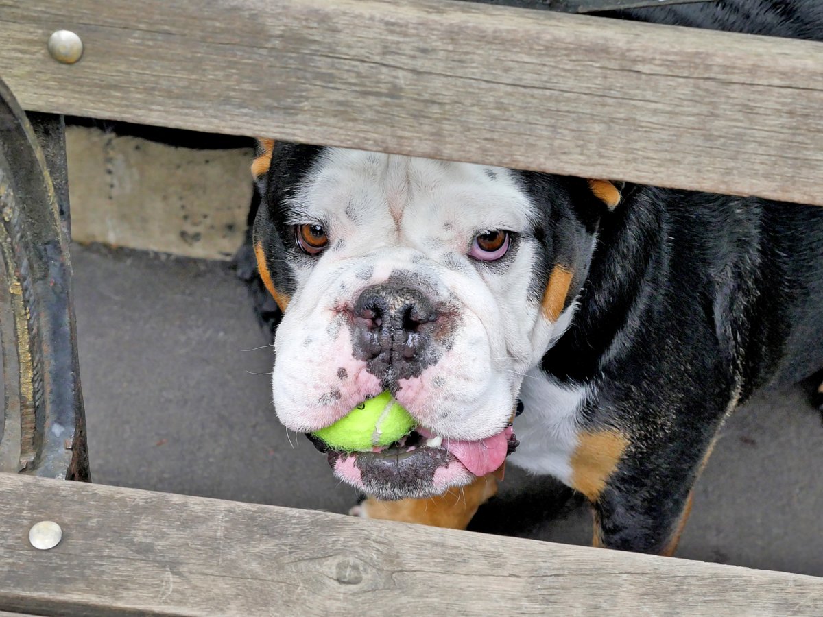 Letters, Week of June 13, 2019 2