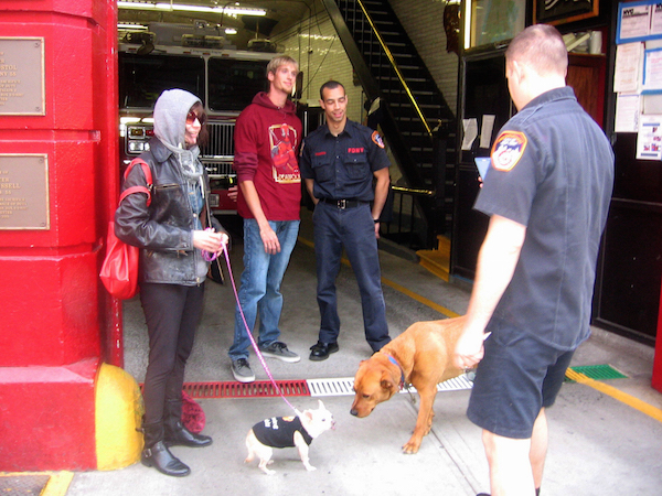 Reverend Jen Junior couldn’t make weight for the job of firehouse dog, but she did bond with Nickels, Engine Co. 55’s Golden Retriever/Rhodesian Ridgeback mix. Photo by John Foster.