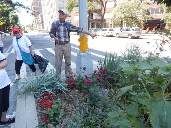 Annual Tour Touts Perennial Tale of Urban Gardening 8 Milt Verstanding and Phyllis Waisman stand behind his tree pit on Ninth Ave. and W. 28th St. Photo by Jane Argodale.