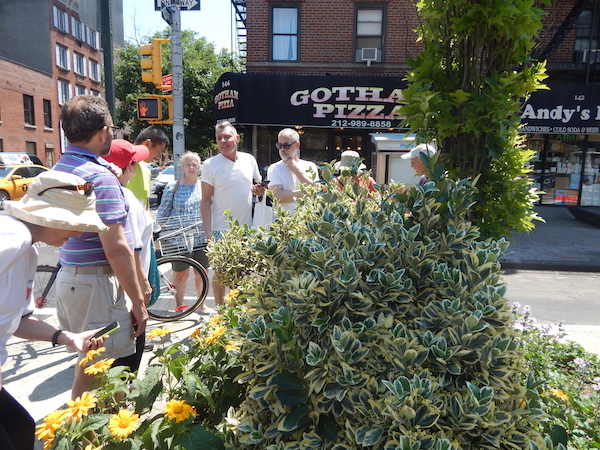 Annual Tour Touts Perennial Tale of Urban Gardening 7 Dennis Homlitas (center) stands behind his tree pit on Ninth Ave. and W. 19th St., with fellow Chelsea Garden Club members. Photo by Jane Argodale.